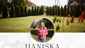 Na predaj stavebný pozemok v obci Haniska